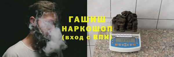 индика Богородицк