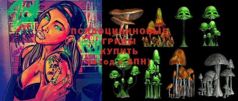 Псилоцибиновые грибы Magic Shrooms  Злынка 